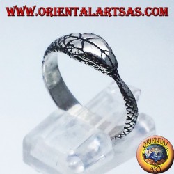 Anello in argento, Ouroboros