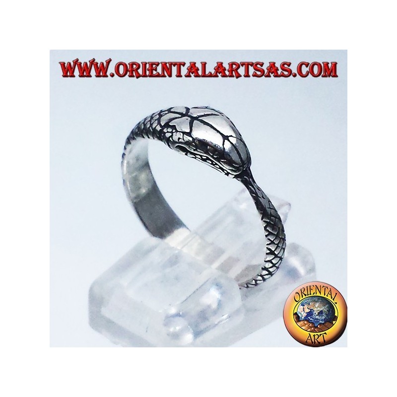 anillo de plata, Ouroboros