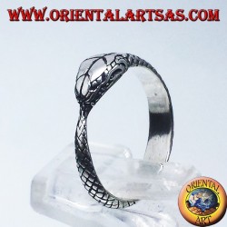 Anello in argento, Ouroboros