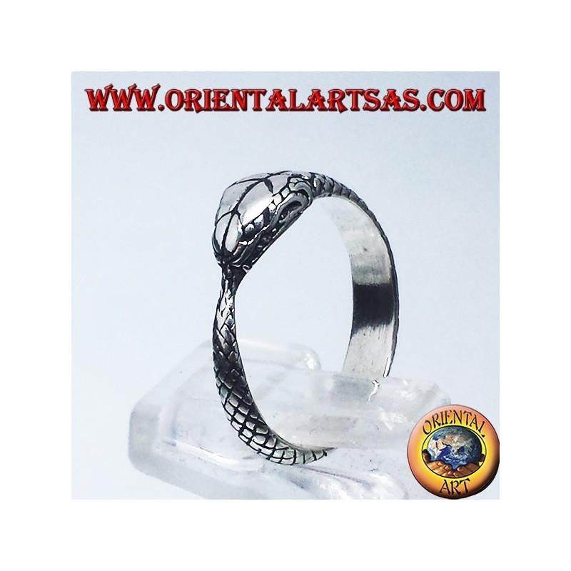 Anello in argento, Ouroboros
