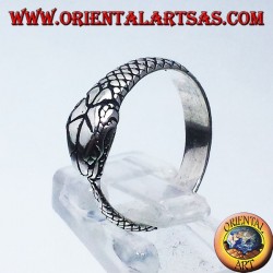 anillo de plata, Ouroboros