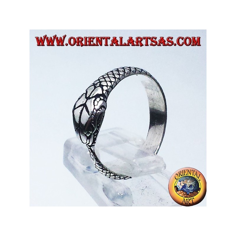 Bague en argent, Ouroboros