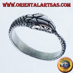 Anello in argento, Ouroboros