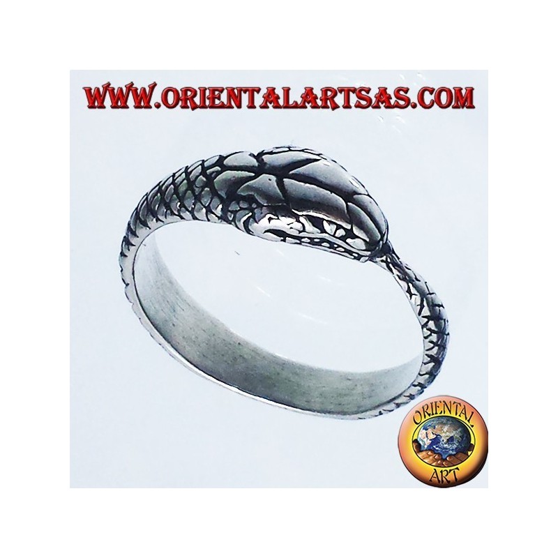 Silberring , Ouroboros