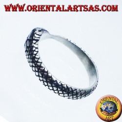 anillo de plata, Ouroboros