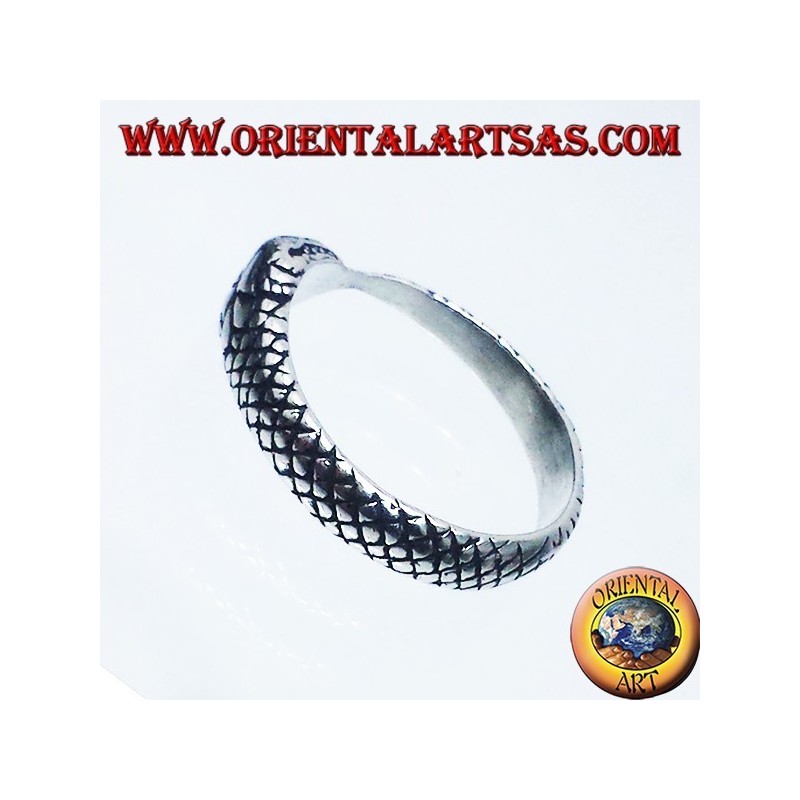 anillo de plata, Ouroboros
