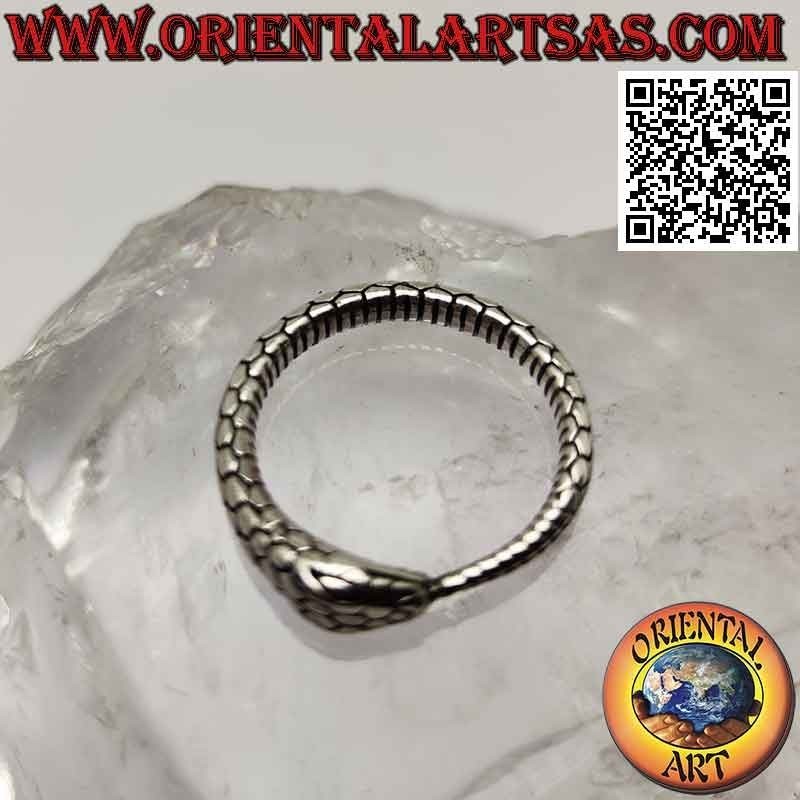 Anillo de plata, serpiente Ouroboros tridimensional grabada