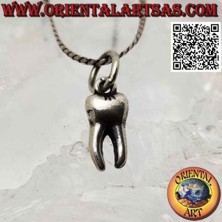 Silver pendant, the premolar or molar tooth with two roots (bicuspid)