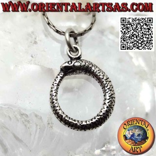 Colgante de plata en forma de Ouroboros u Ouroboros (Ø 20 mm)