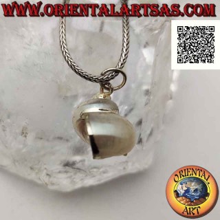 Silver pendant with "Natica" shell (Naticarius hebraeus) on silver setting