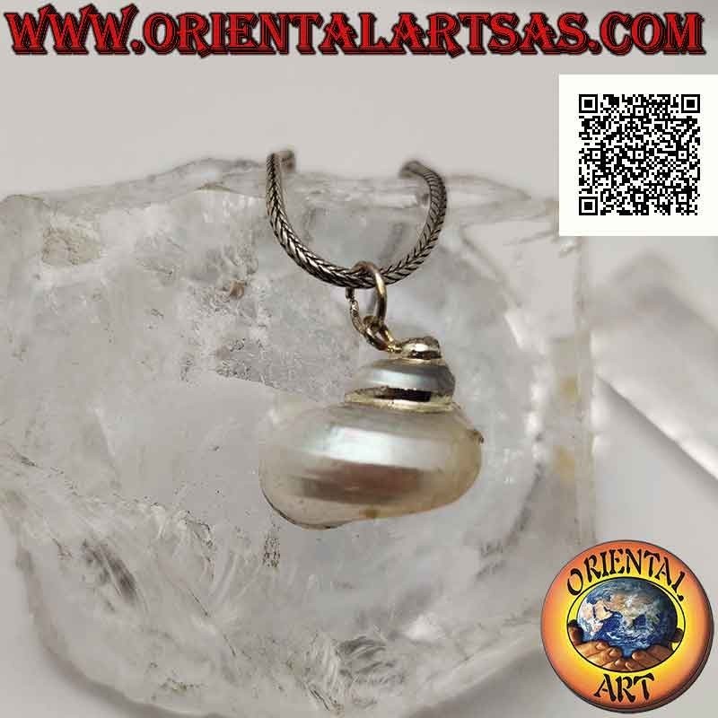 Pendentif en argent avec coquillage "Natica" (Naticarius hebraeus) sur monture en argent