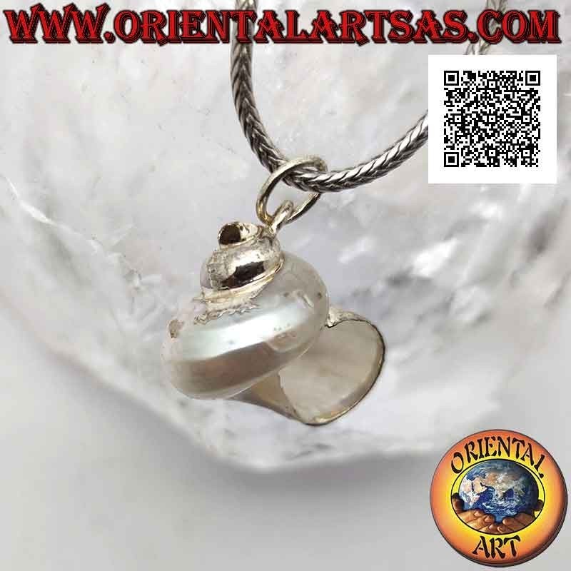 Silver pendant with "Natica" shell (Naticarius hebraeus) on silver setting