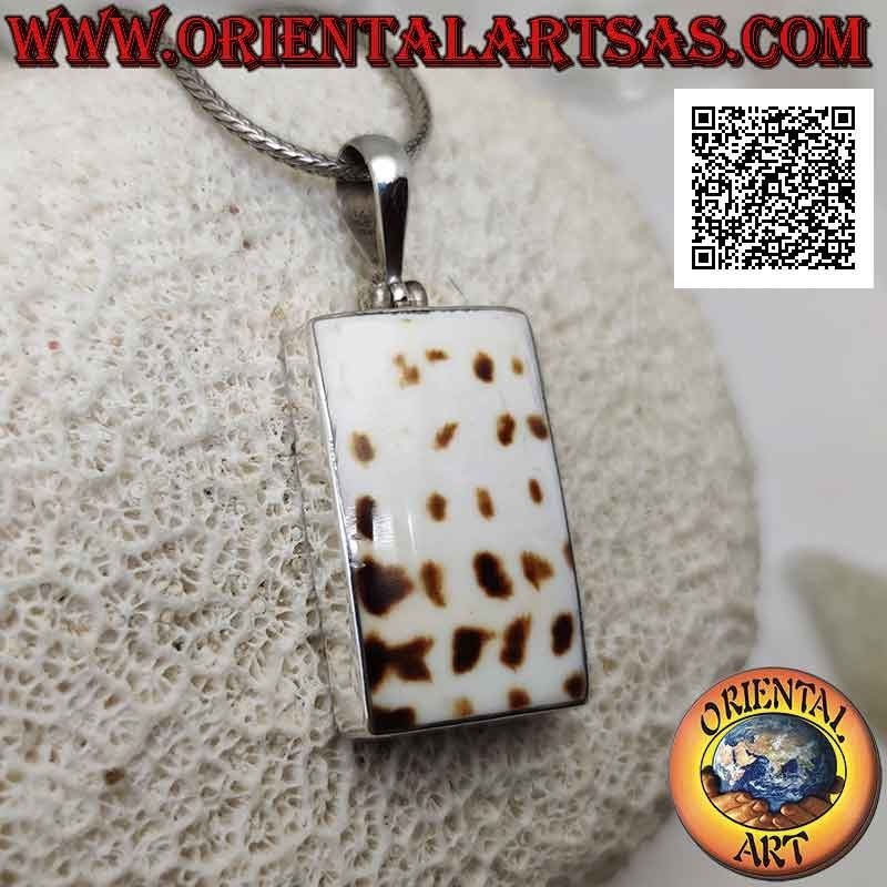 Ciondolo in argento con parte di gasteropode marino fossile (guscio/conchiglia) rettangolare a filo