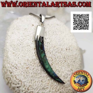 Silver pendant, abalone (paua shell) "lucky charm" horn with hood (A)