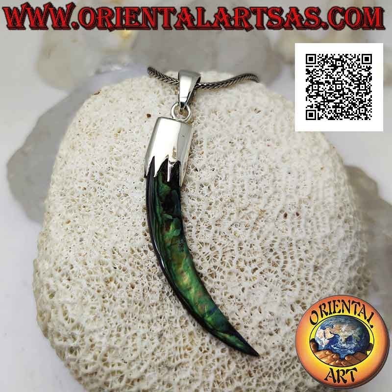 Silver pendant, abalone (paua shell) "lucky charm" horn with hood (A)