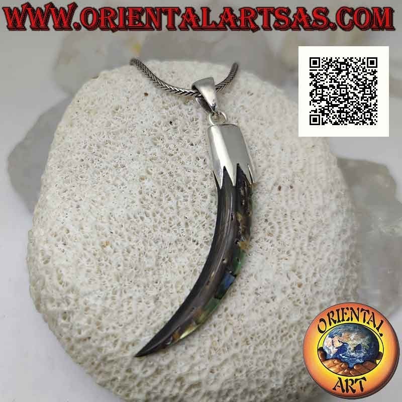 Silberanhänger, Abalone (Paua-Muschel) „Glücksbringer“-Horn mit Haube (A)