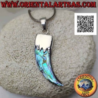 Pendentif en argent, corne d'ormeau (coquillage paua) "porte-bonheur" avec capuchon (B)