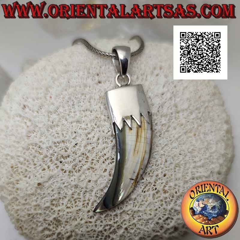 Colgante de plata, abulón (concha de paua) cuerno "amuleto de la suerte" con capucha (B)