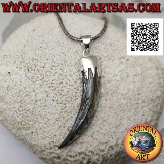 Pendentif en argent, corne d'ormeau (paua shell) "porte-bonheur" avec capuchon (C)