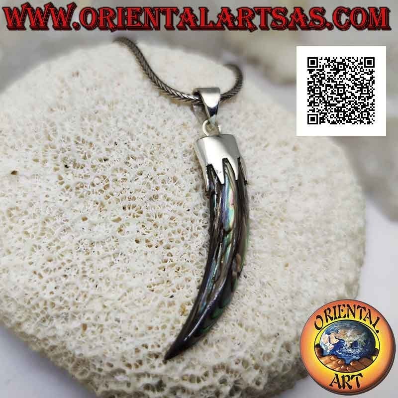 Colgante de plata, abulón (concha de paua) cuerno "amuleto de la suerte" con capucha (C)