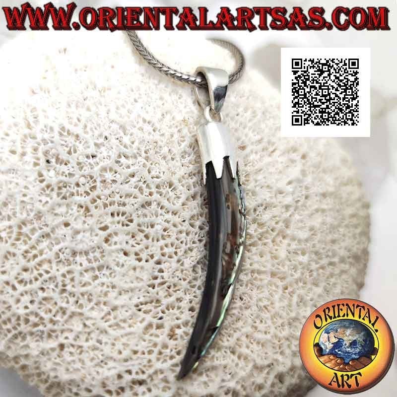 Pendentif en argent, corne d'ormeau (paua shell) "porte-bonheur" avec capuchon (C)