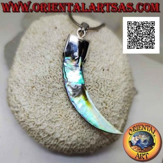Ciondolo in argento, cornetto "portafortuna" di abalone (paua shell) con cappuccio (D)