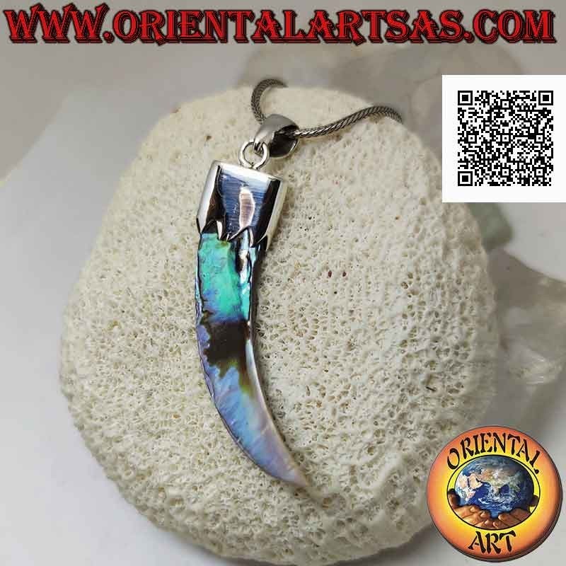 Silver pendant, abalone (paua shell) "lucky charm" horn with hood (D)