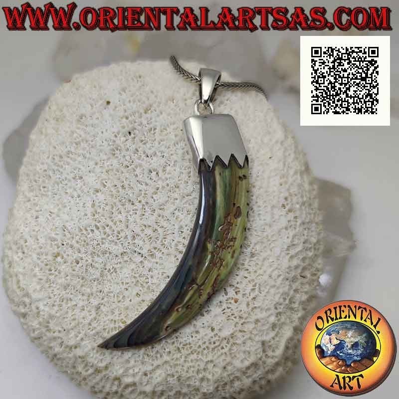 Colgante de plata, abulón (concha de paua) cuerno "amuleto de la suerte" con capucha (D)