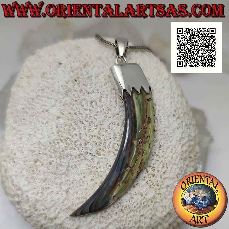 Colgante de plata, abulón (concha de paua) cuerno "amuleto de la suerte" con capucha (D)