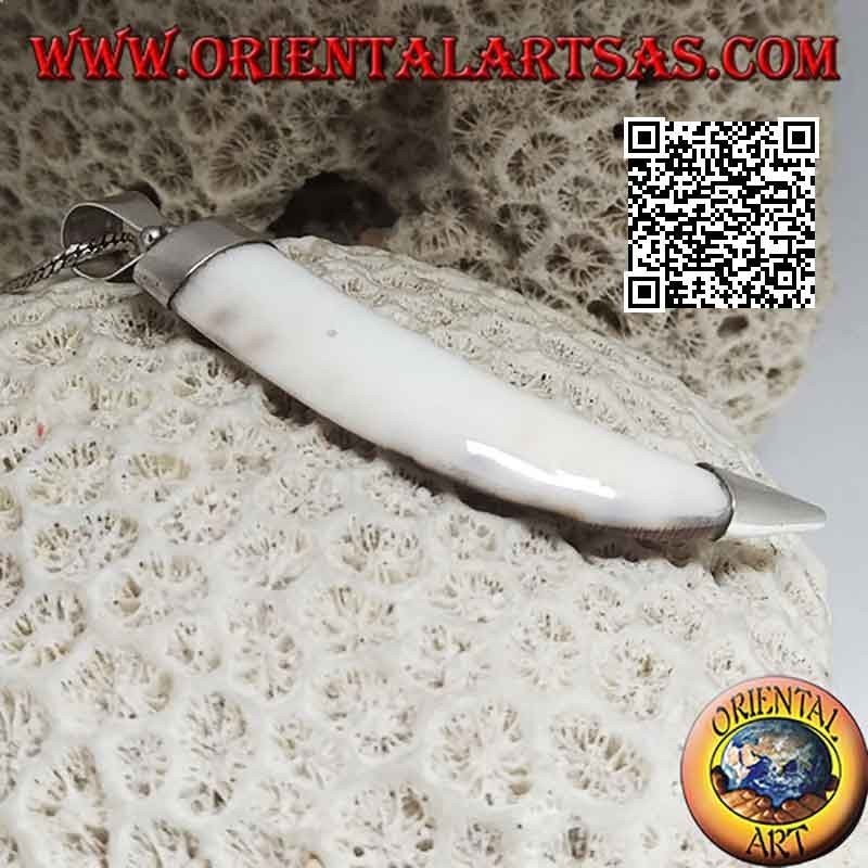 Colgante de plata, diente de lobo en engaste liso