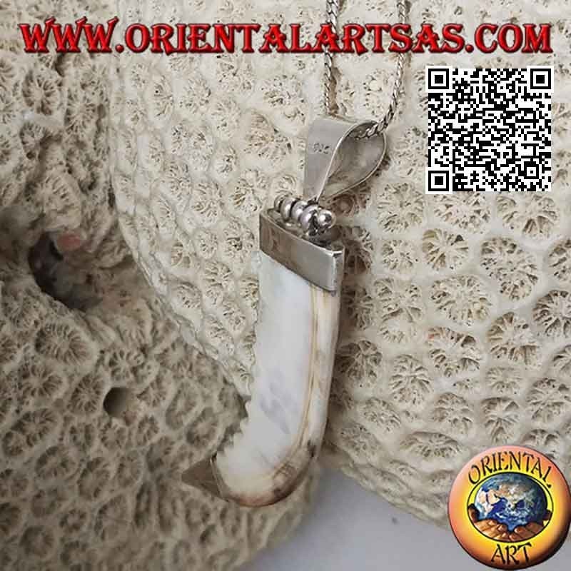 Ciondolo in argento, dente di lupo su montatura liscia