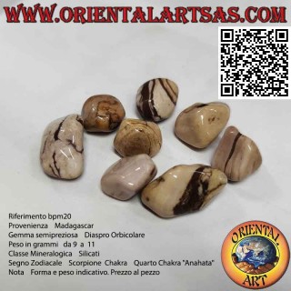 Jaspe orbicular caído
