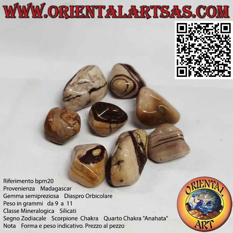 Tumbled Orbicular Jasper