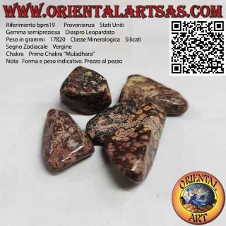 Tumbled Leopard Jasper