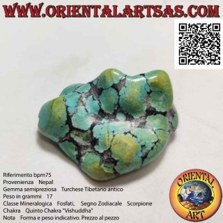 Turchese antico Tibetano burattato (17 g)