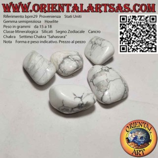 Howlite a dégringolé (petit)