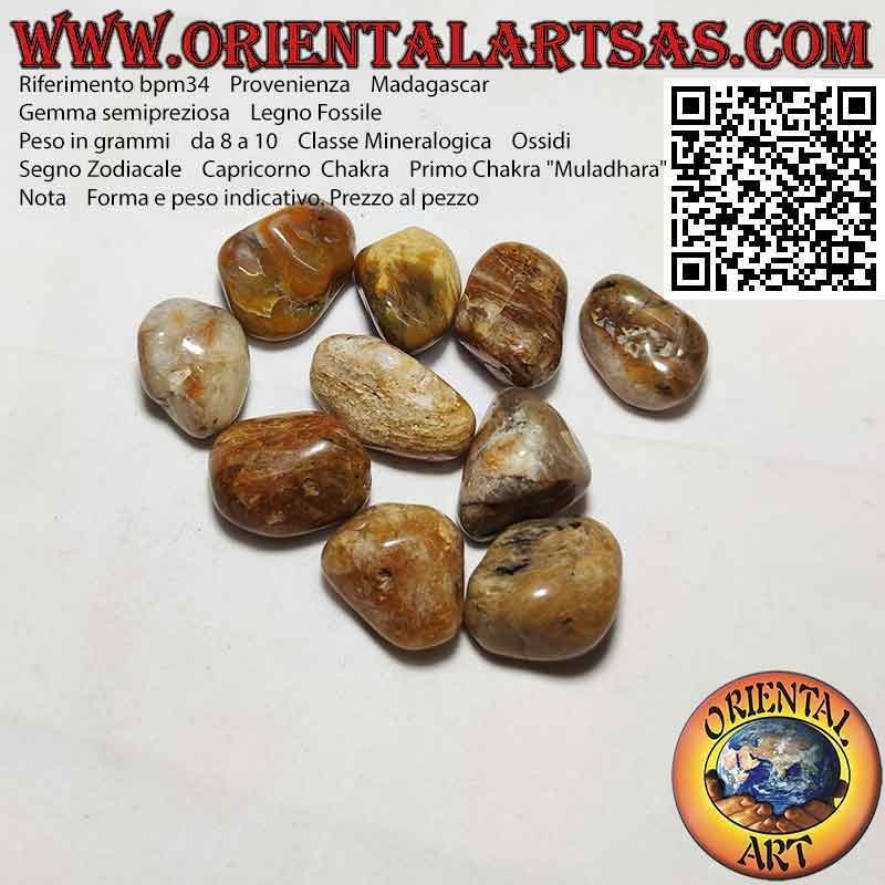 Tumbled Fossil Wood