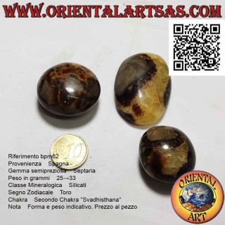 Septaria cayó