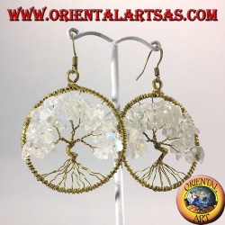 earrings tree of life with rainbow moonstone golden brass