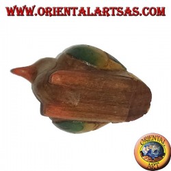 Canard du bois de teck de couleur