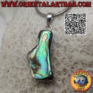 Colgante de plata con concha de paua (abulón) de forma irregular con alambre de borde liso (c)