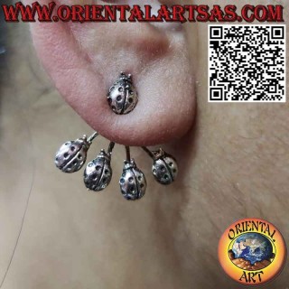 Fan-shaped climbing silver earring (climber), ladybugs