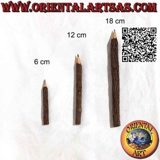 Graphite pencils in the tree trunk, various sizes