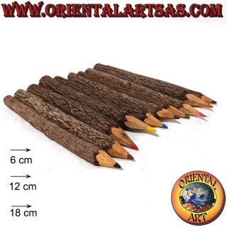 Paquet de 10 crayons de couleur dans le tronc d'arbre, différentes tailles