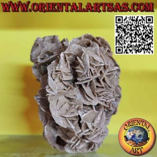 Beautiful Desert Rose of 1200 grams
