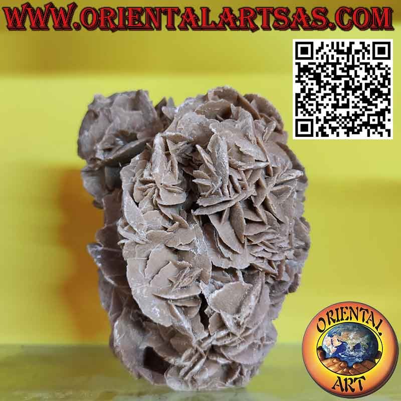 Bellissimo  pezzo di Rosa del Deserto da 1200 grammi