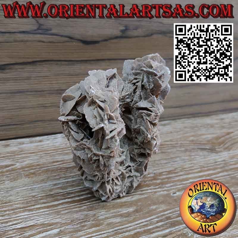 Hermosa Rosa del Desierto de 1200 gramos