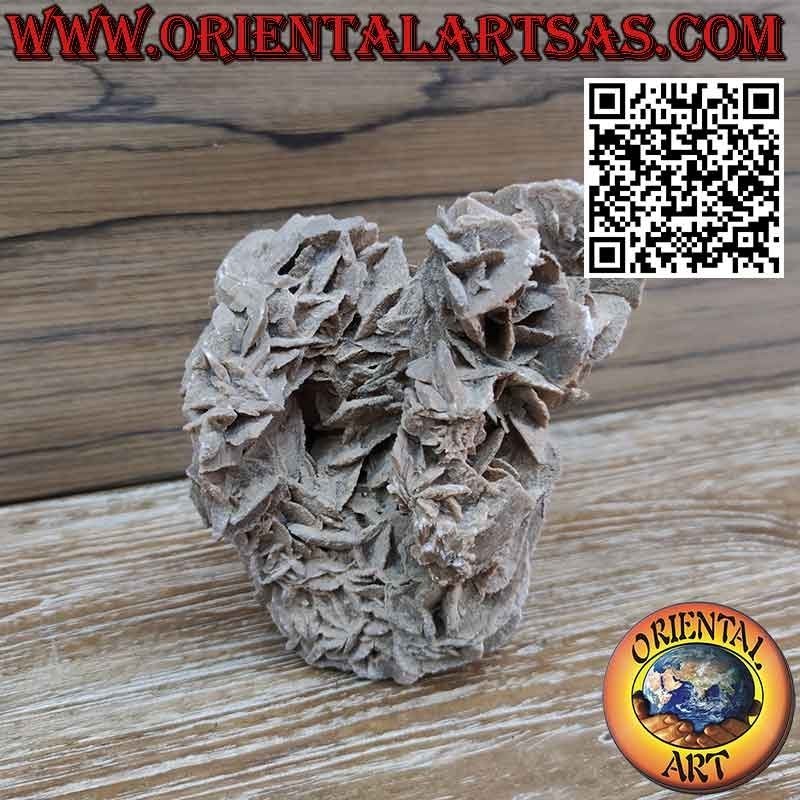 Schöne Wüstenrose von 1200 Gramm