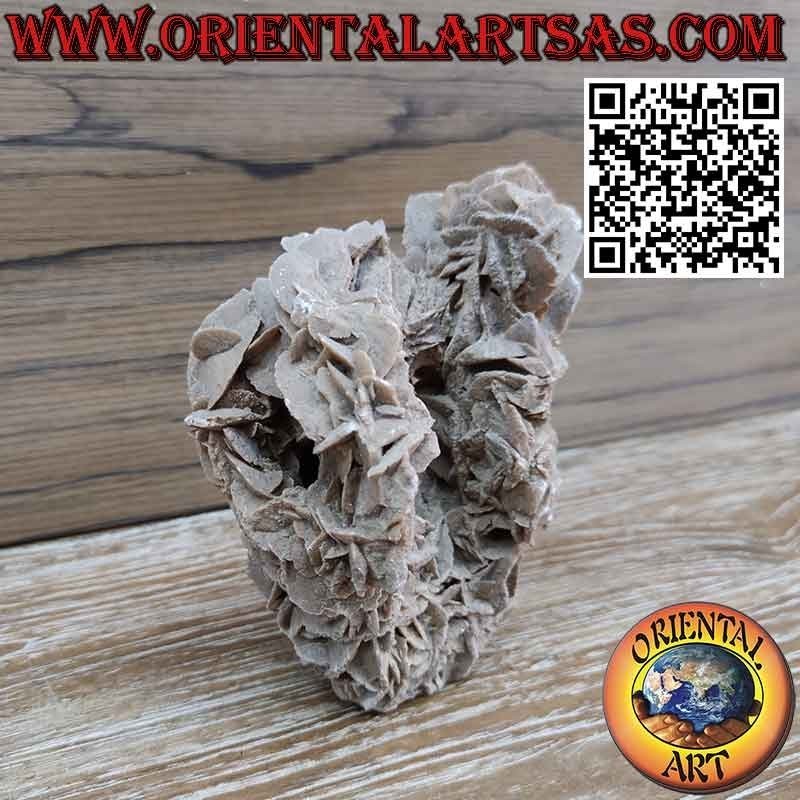 Hermosa Rosa del Desierto de 1200 gramos