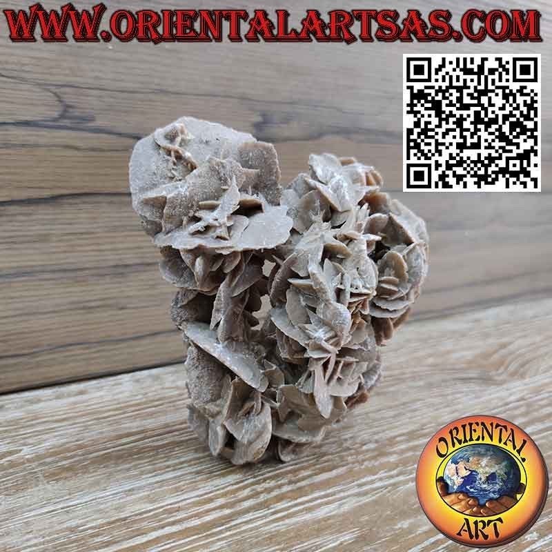 Hermosa Rosa del Desierto de 1200 gramos